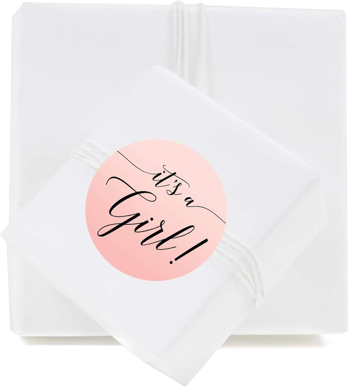 Andaz Press Blush Pink Rose Elegant Party Baby Shower Collection, Round Circle Label Stickers, It's