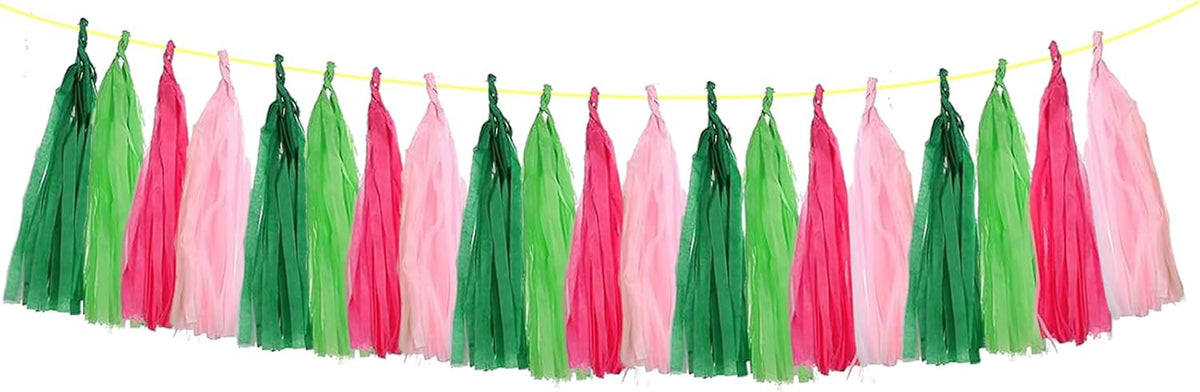ZOOYOO Tassel Garland Tissue Paper Tassel Banner Table Decor, DIY Kits for Birthday Wedding