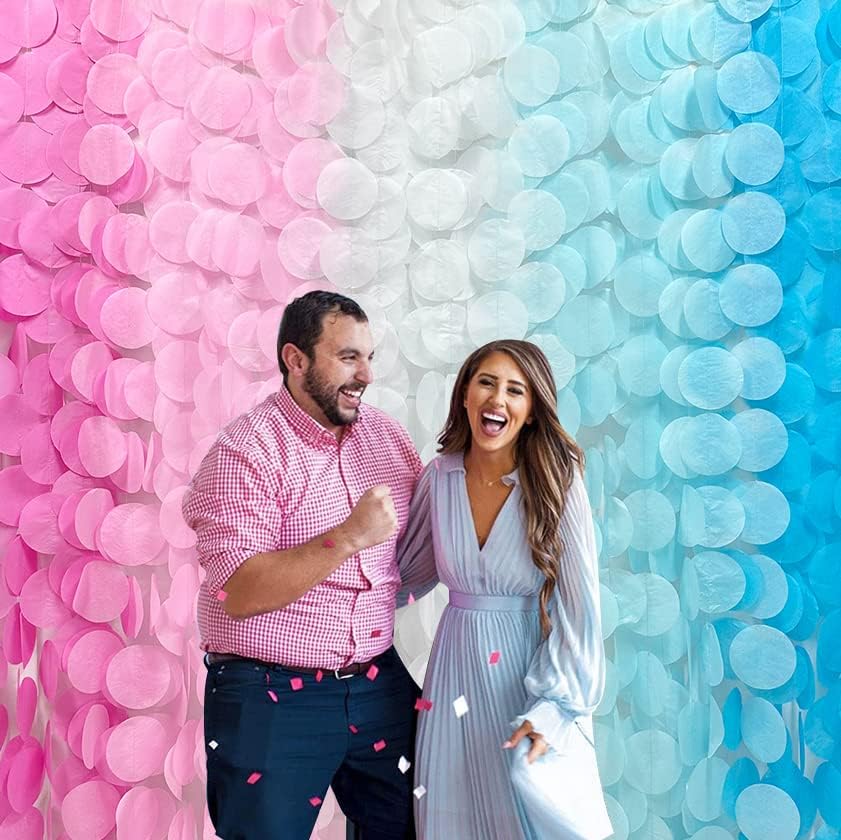 205 Ft Gender Reveal Party Decorations Ombre Pink and Blue Big Circle Dot Backdrop Garland Tissue