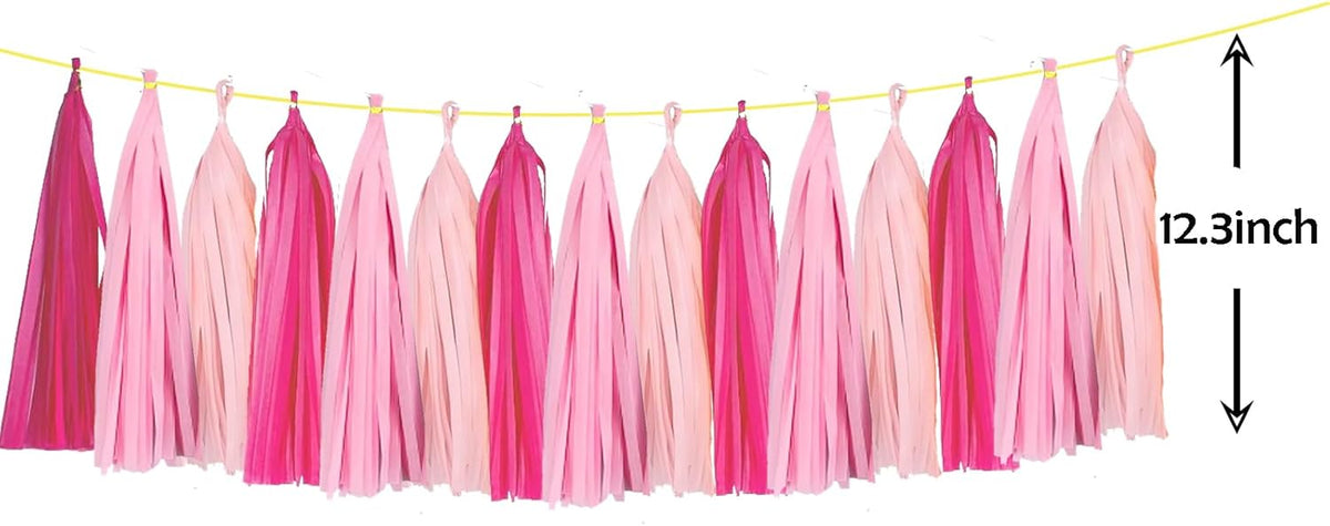 ZOOYOO Tassel Garland Tissue Paper Tassel Banner Table Decor,DIY Kits for Girls Women