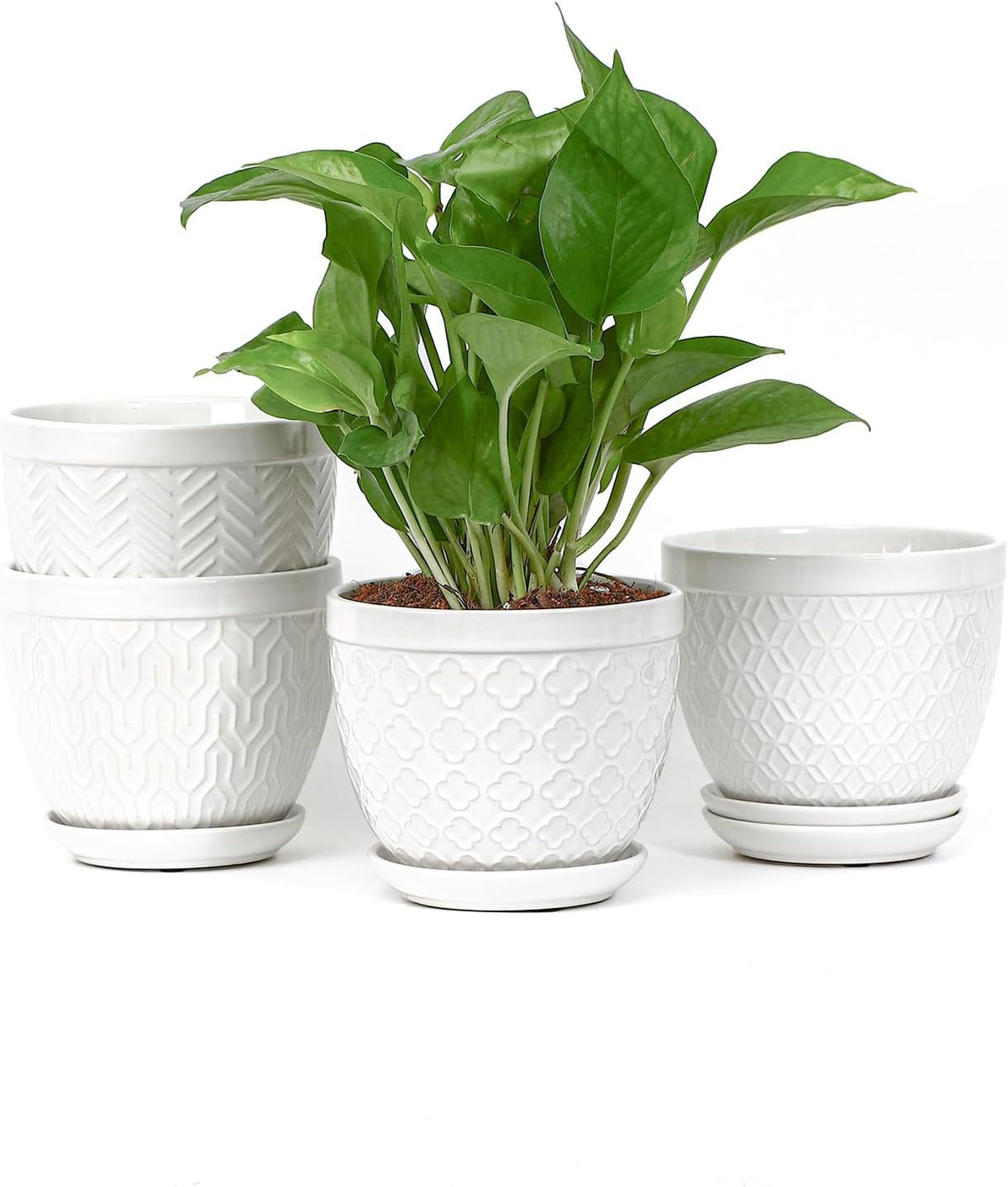 Sureasy Ceramic Indoor Plant Pots - 5.6 Inch Flower Pots for Plants with Drainage Hole and Saucer