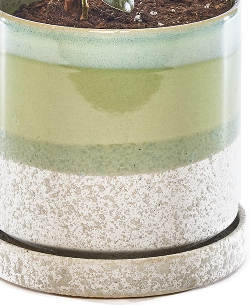 CHIVE ‘Minute’ Ceramic Planter Pot — Cute 5” Colorful Succulent Pots for Indoor & Outdoor House