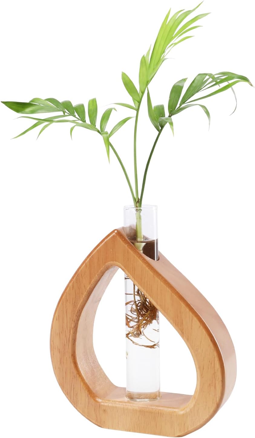 Propagation Stations Planter Terrariums Wall Hanging Test Tube Desk Decorations with Wooden Stand