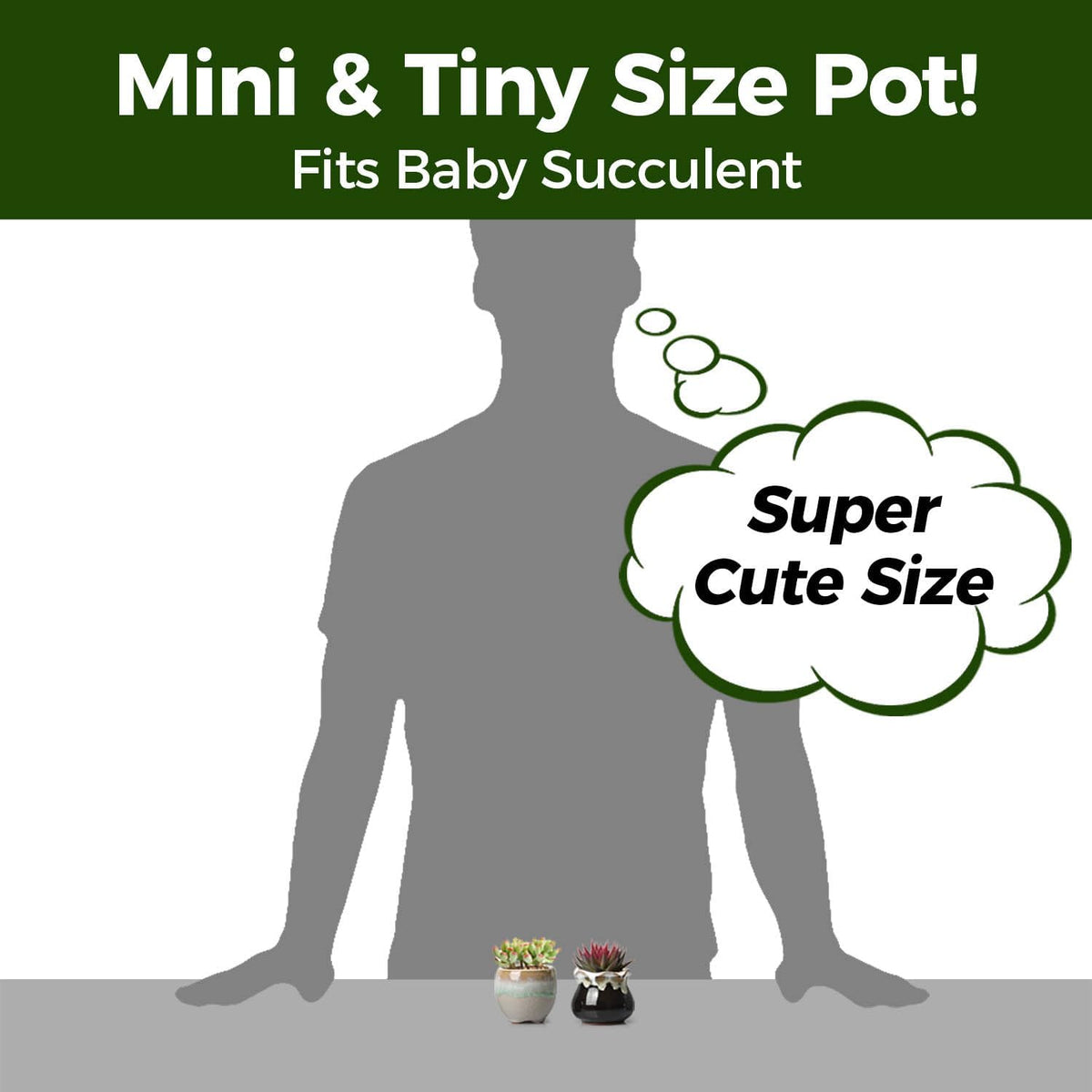 T4U Small Ceramic Succulent Pots with Drainage - Set of 12, Mini Pots for Plants, Home and Office