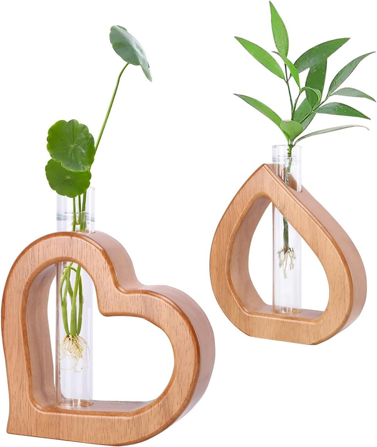 Plant Propagation Stations 2 PCS Wall Hanging Planters for Indoor Plants Glass Tubes Home