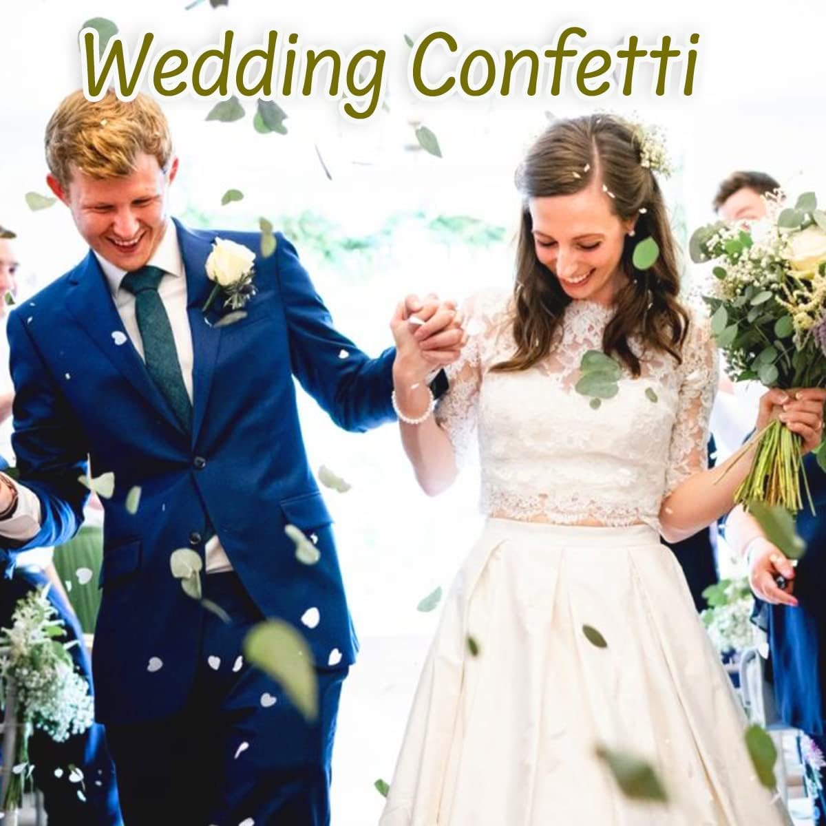 1600+Preserved Real Eucalyptus Leaves Small, Pure Natural Bulk Eucalyptus, Wedding Leaves Confetti