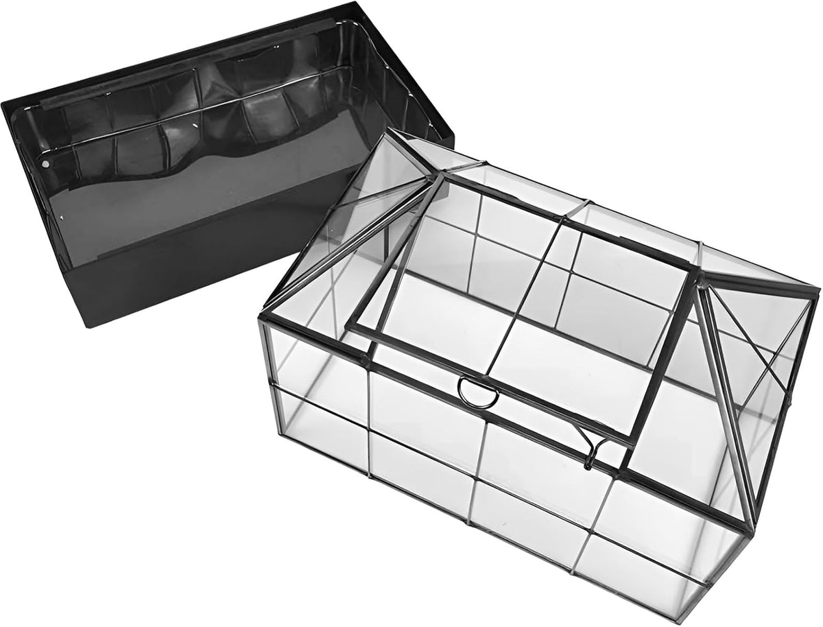 Large Tall Plant Terrarium Glass Greenhouse with Lid and Tray, Indoor Tabletop Orchid Succulent