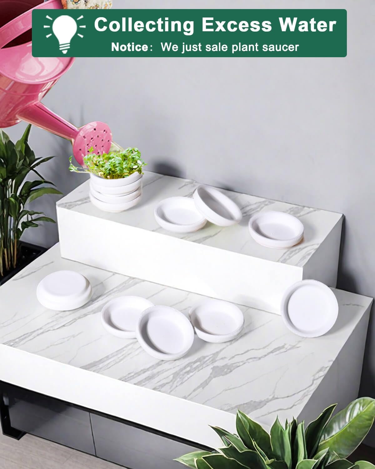vensovo 2 Inch White Terracotta Plant Saucer Pots Tray - 12 pcs Mini Planter Saucers for Indoor &