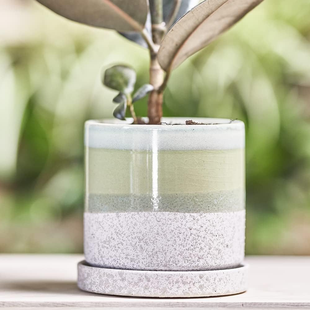 CHIVE ‘Minute’ Ceramic Planter Pot — Cute 5” Colorful Succulent Pots for Indoor & Outdoor House