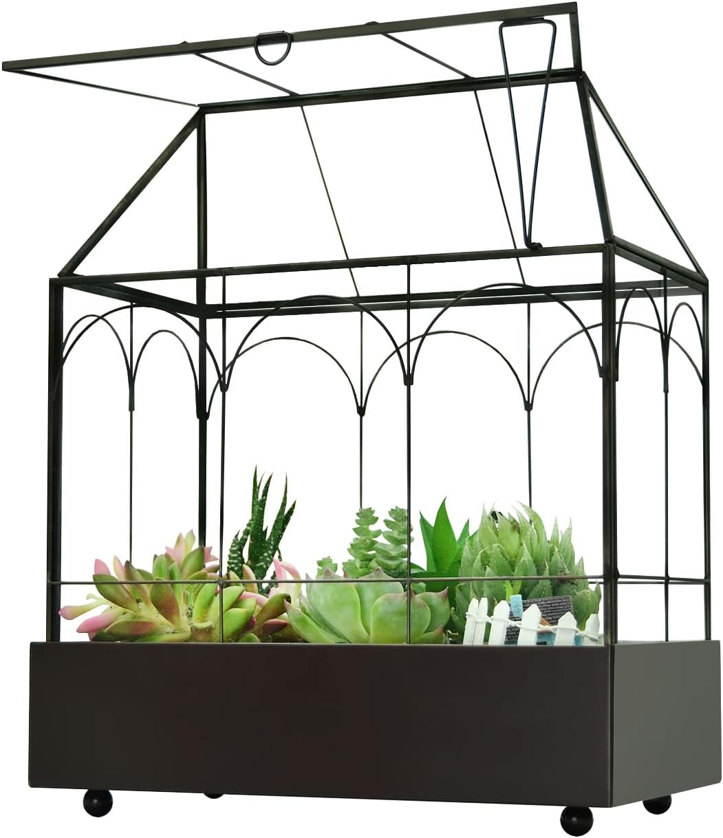 Large Tall Glass Plant Terrarium – House Succulent Terrarium Kit with Lip and Tray Glass Greenhouse