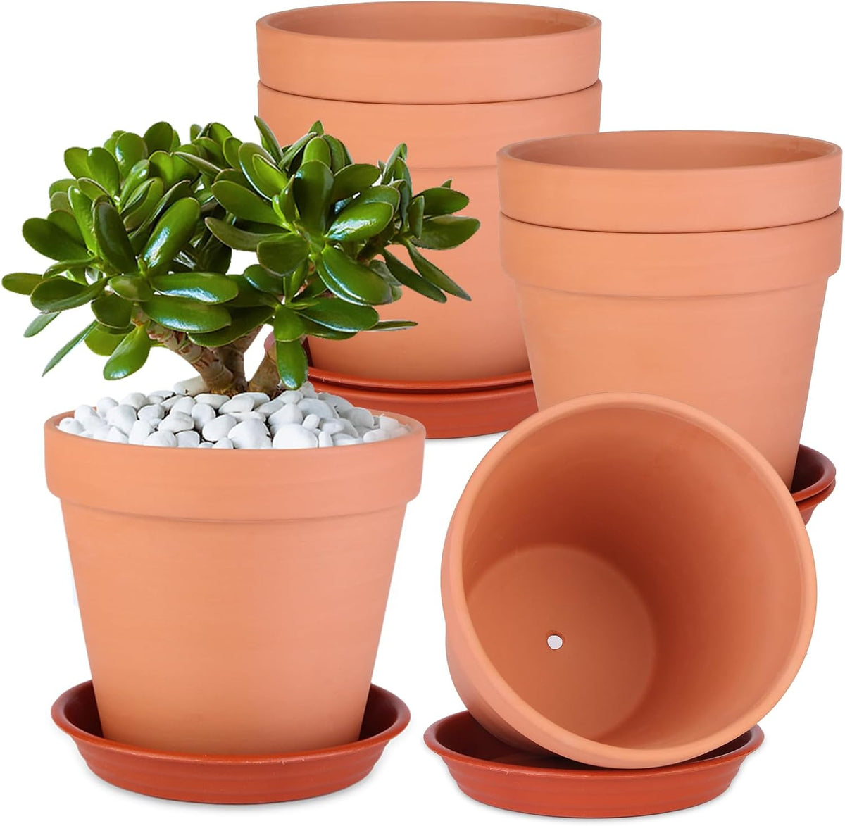 6 Pack 6 Inch Terracotta & Clay Pots with Saucer for Plants, Large Terra Cotta Plant Pot with