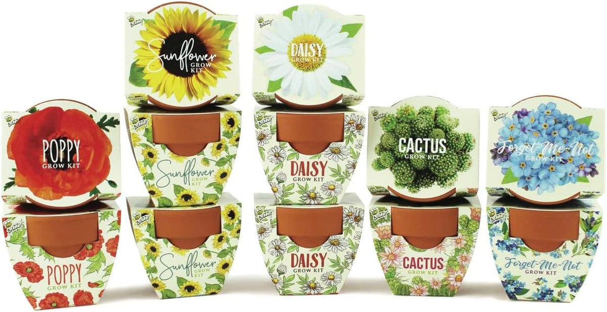 BUZZY Seeds Mini Terracotta Pots 12-Pack with Plant Seeds, Poppy, Sunflower, Daisy, Cactus and