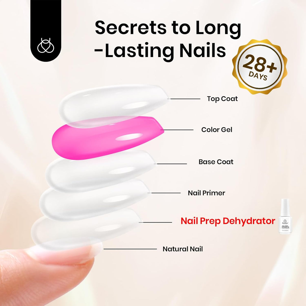 Beetles 20ml Nail Dehydrator : Professional Nail Prep Acid-Free & Hema-Free Dehydrate Bond Primer