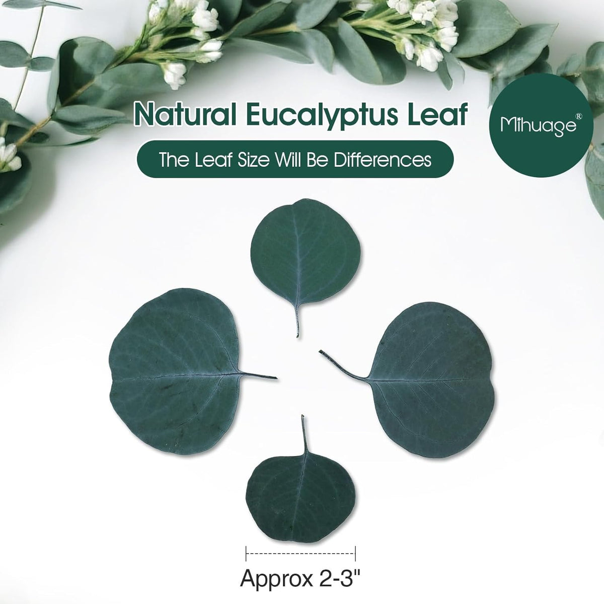 400+ Natural Dried Eucalyptus Leaves – Bulk Green Petals for Wedding, Baby Shower, & Table Decor.