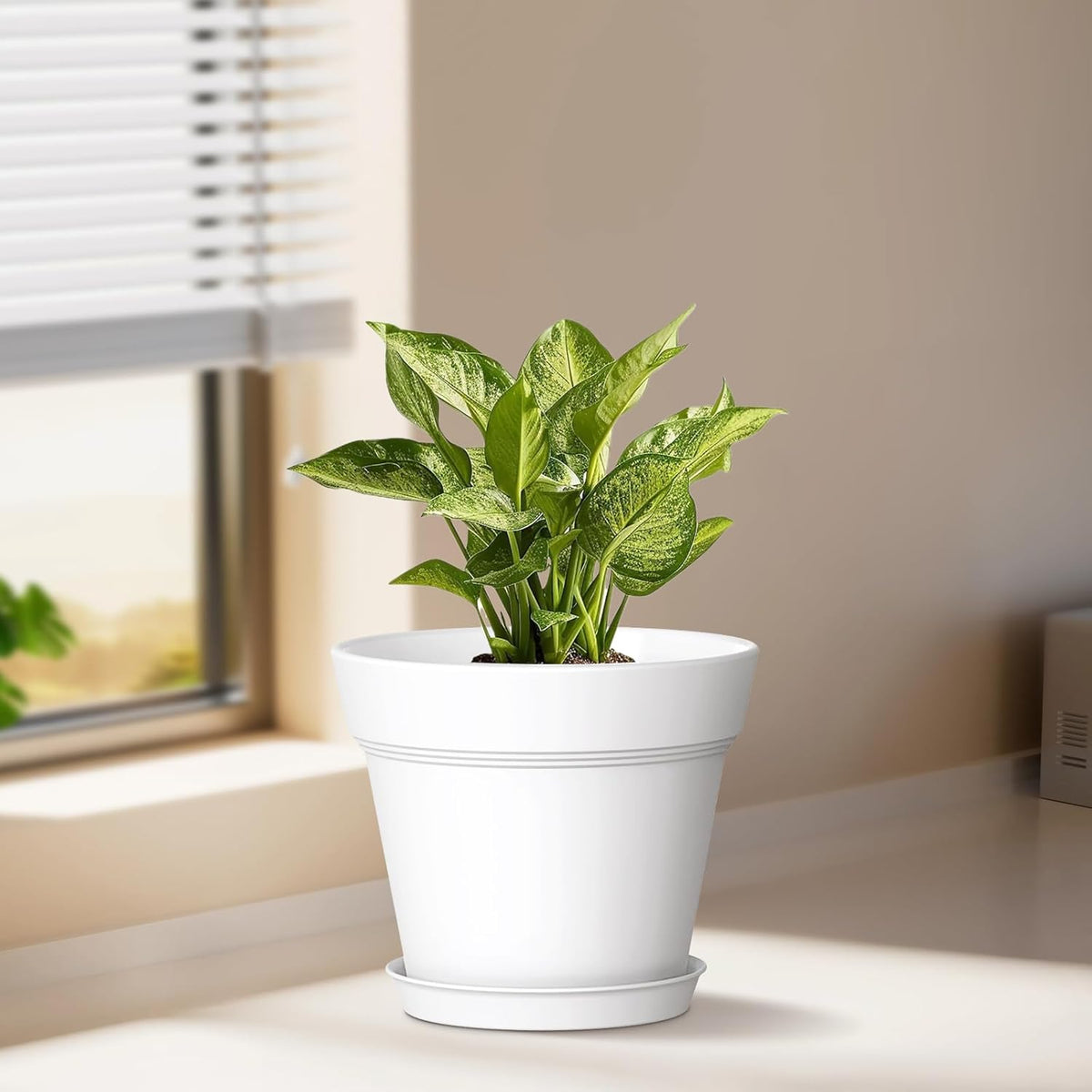 5 Inch Plastic Plant Pots with Drainage Holes and Trays – 6 Pack Small Nursery Pots for Indoor &
