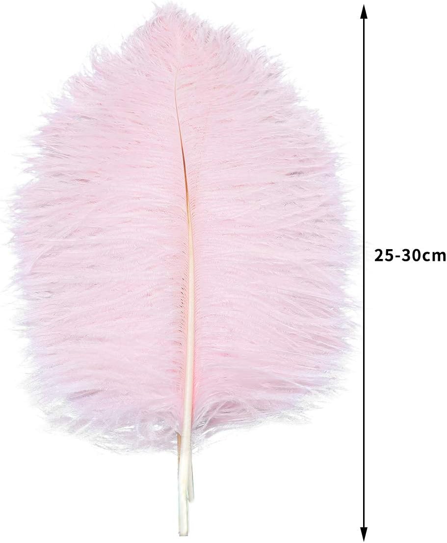 24pcs Natural Light Pink Ostrich Feathers 10-12inch (25-30cm) for Wedding Party Centerpieces，Flower