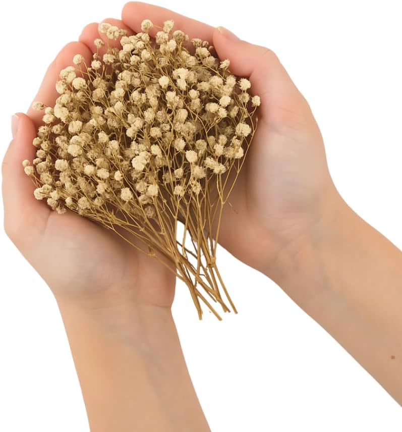 Dried Flower Baby's Breath Biodegradable Confetti - Real Flower Petals for Weddings, Flower Girl