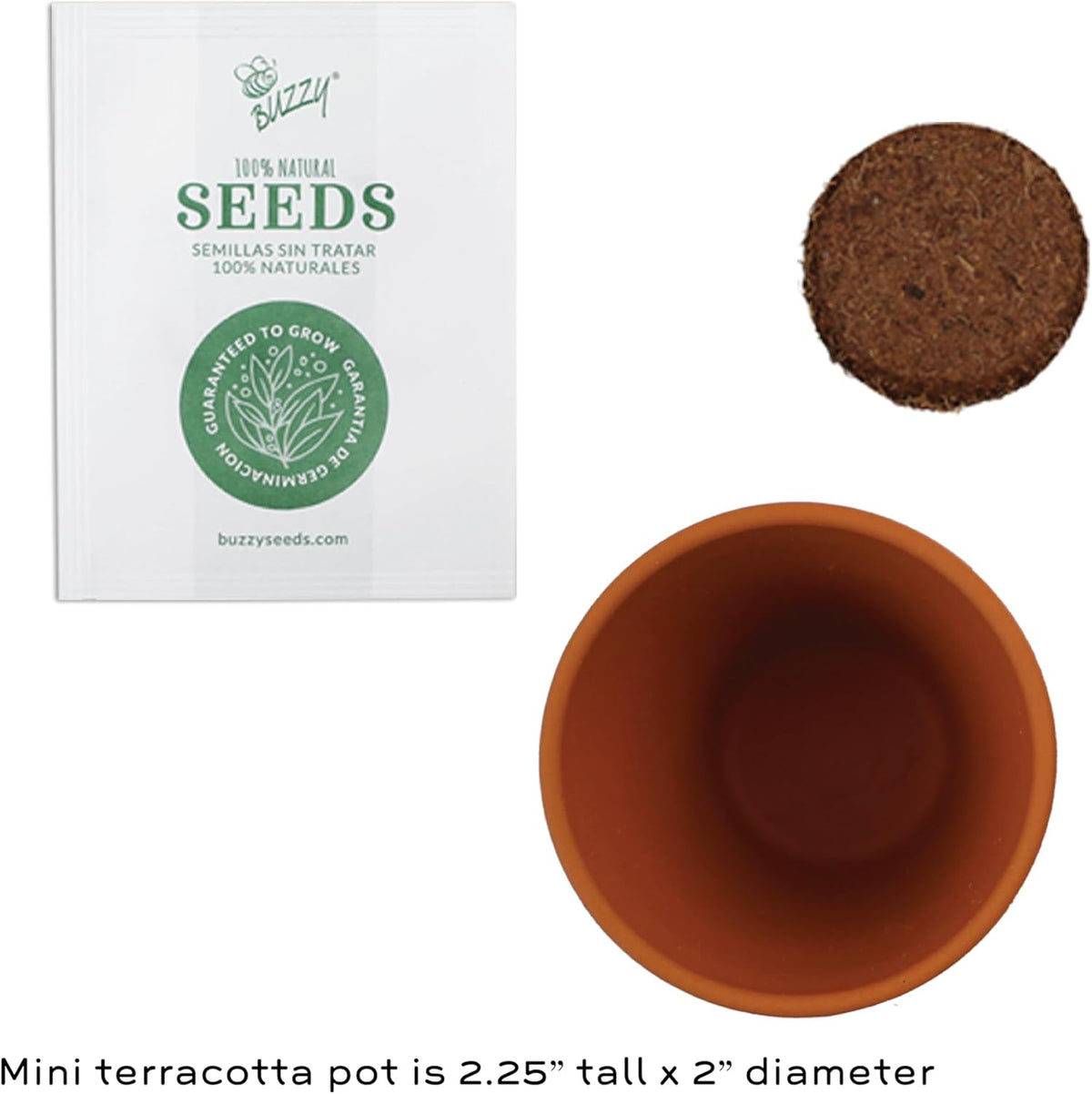 BUZZY Seeds Sunflower 12 Pack Terracotta Mini Grow Pots, Flower Planting Seed Starter Kit for Kids