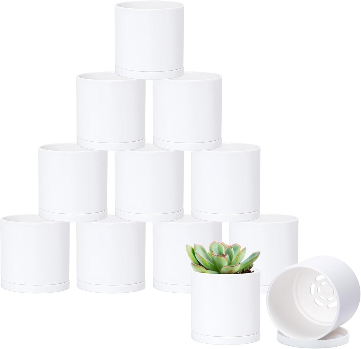 D'vine Dev 12 Pack 3 Inch Mini Plastic Plant Pots, Small Garden Planters for Plant with Drainage