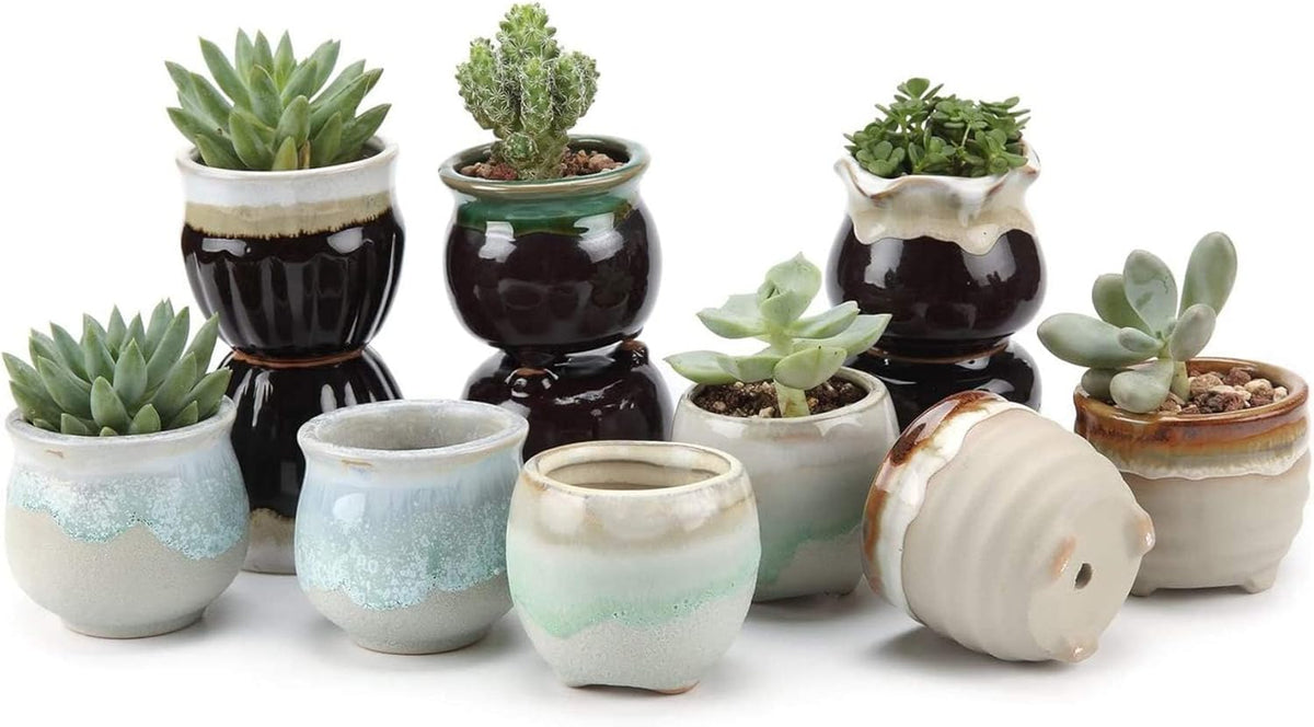 T4U Small Ceramic Succulent Pots with Drainage - Set of 12, Mini Pots for Plants, Home and Office