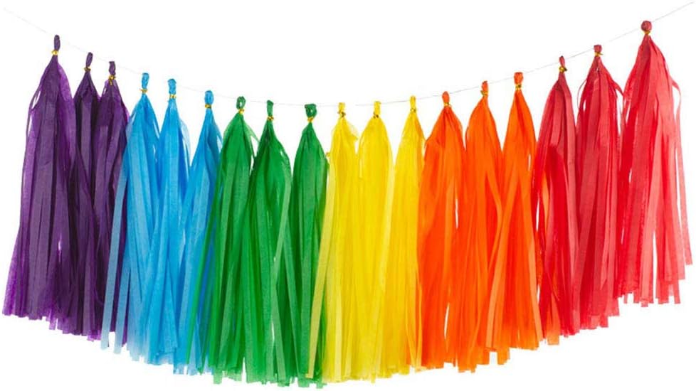 Aimto 30PCS Rainbow Shiny Tassel Garland Tissue Colorful Paper Tassel Banner