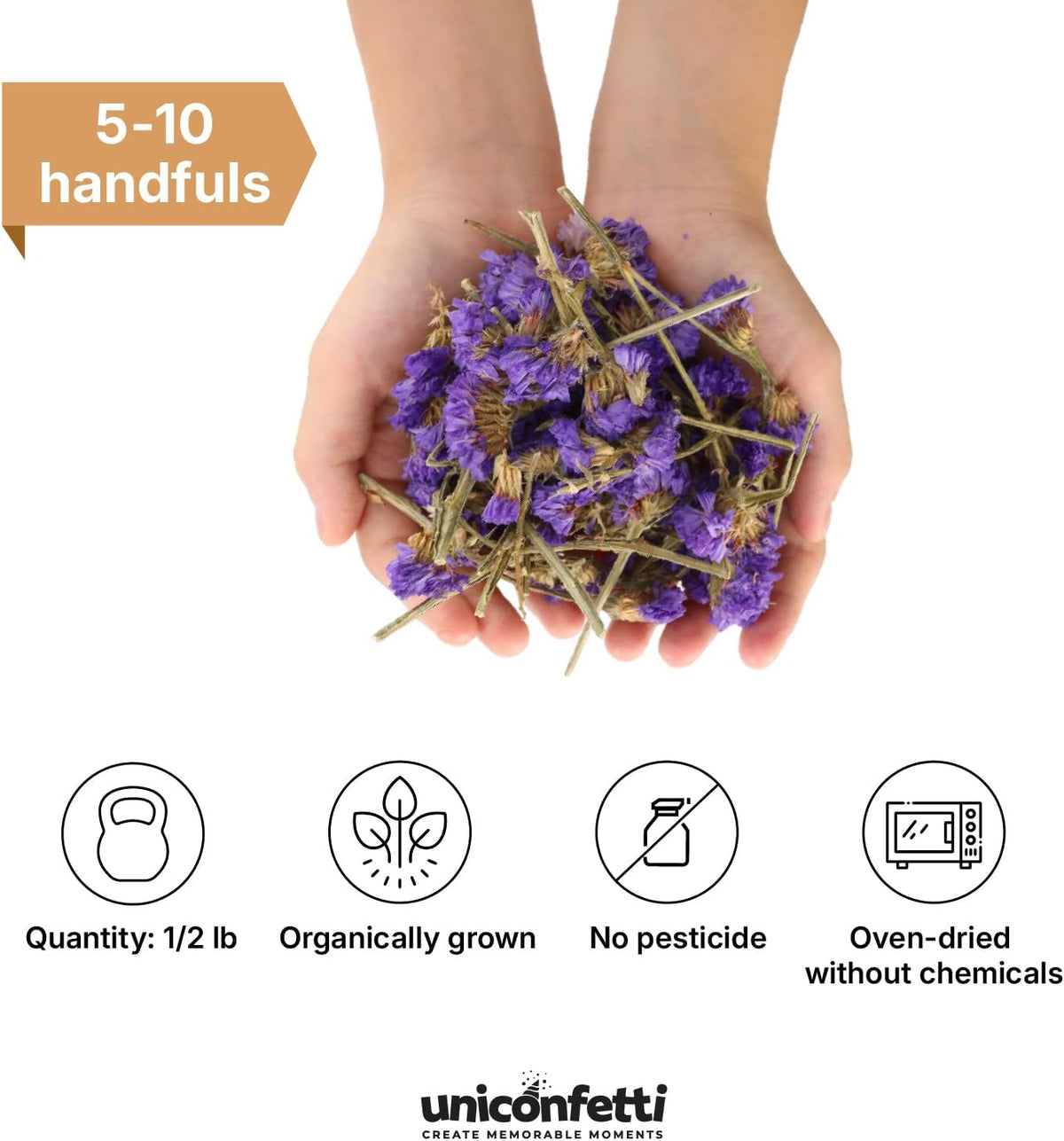 Dried Flower Forget Me Not Biodegradable Confetti - Real Flower Petals for Weddings, Flower Girl