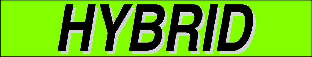 Ez-line Vinyl Windshield Stickers 3 Dozen 15 Inch Chartreuse Slogan Dealership Pro Pack for Car