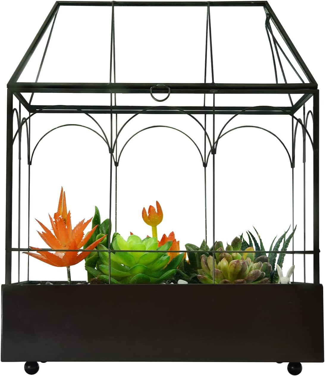 Large Tall Glass Plant Terrarium – House Succulent Terrarium Kit with Lip and Tray Glass Greenhouse