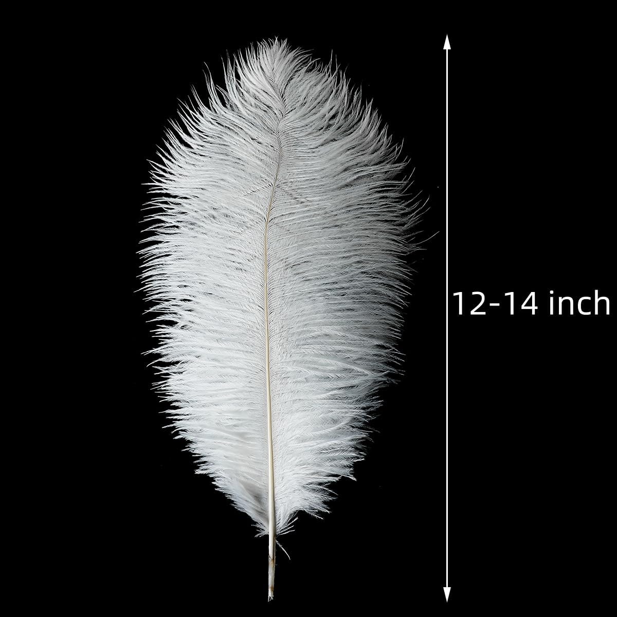 Ballinger Large White Ostrich Feathers - 24Pcs 12-14inch Large Feathers for Vase,Party