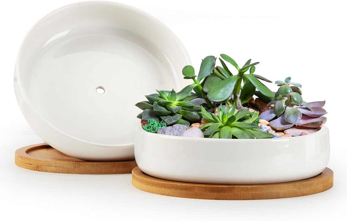 ZOUTOG Succulent Pots,6 Inch Succulent Planters with Drainage and Tray,White Ceramic Planters for