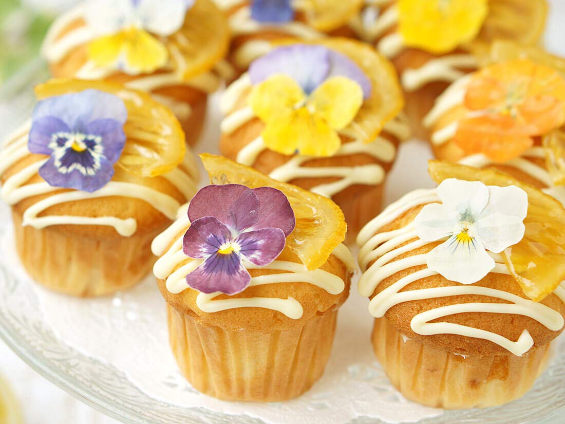 Uzunohana Dried Edible Flowers Viola Mix (50 Petals) | For Cake Decorating | For Garnish | For