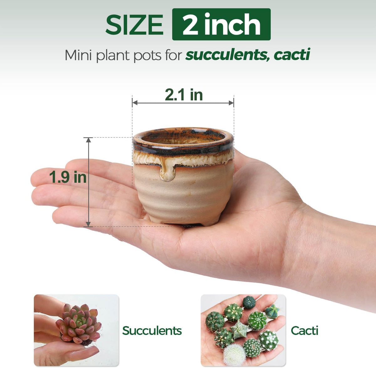 T4U Mini Ceramic Succulent Pots with Drainage - Set of 6, Tiny Pots for Plants, Home and Office