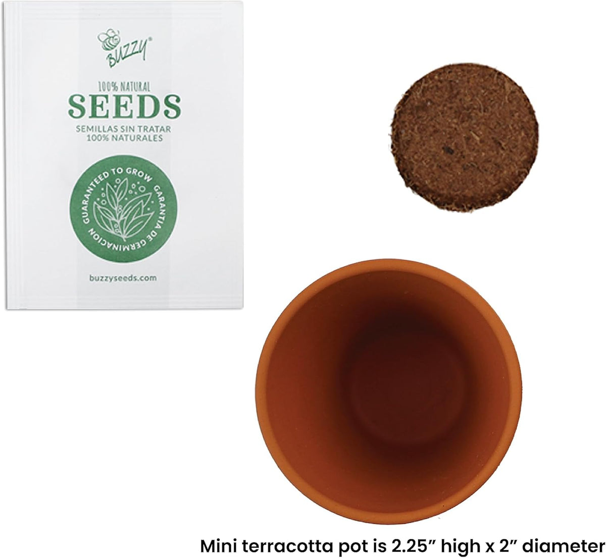 BUZZY Daisy Seeds & Genuine Terracotta 5cm Mini Pot Bulk Pack (20 Count), Includes 20 Each of pots