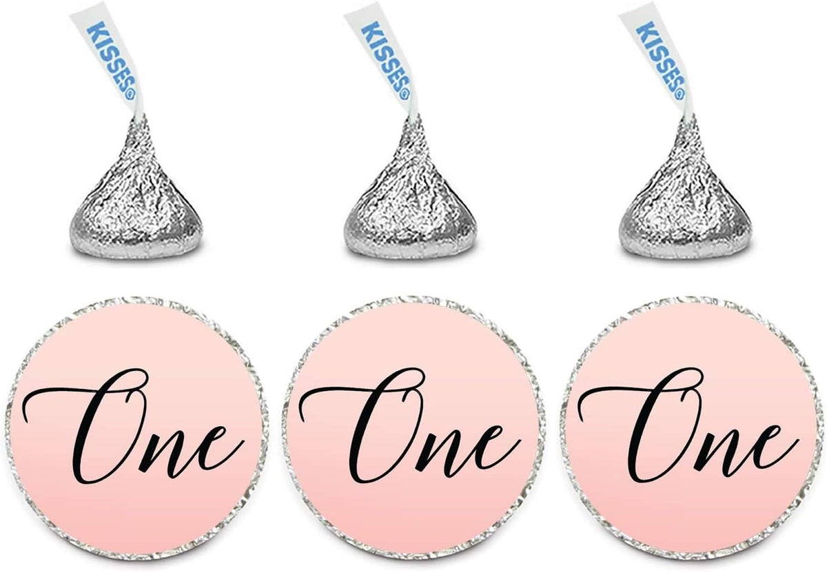Andaz Press Blush Pink Rose Elegant Party Baby Girl's 1st Birthday Collection, Small Round Circle