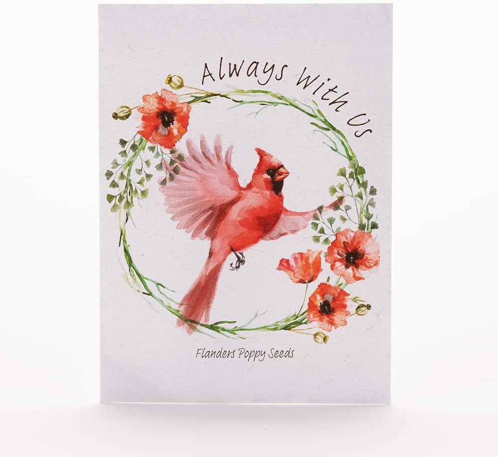 Bentley Seed Co. | Memorial Cardinal Celebration of Life Funeral Favors for Guests | Non-GMO