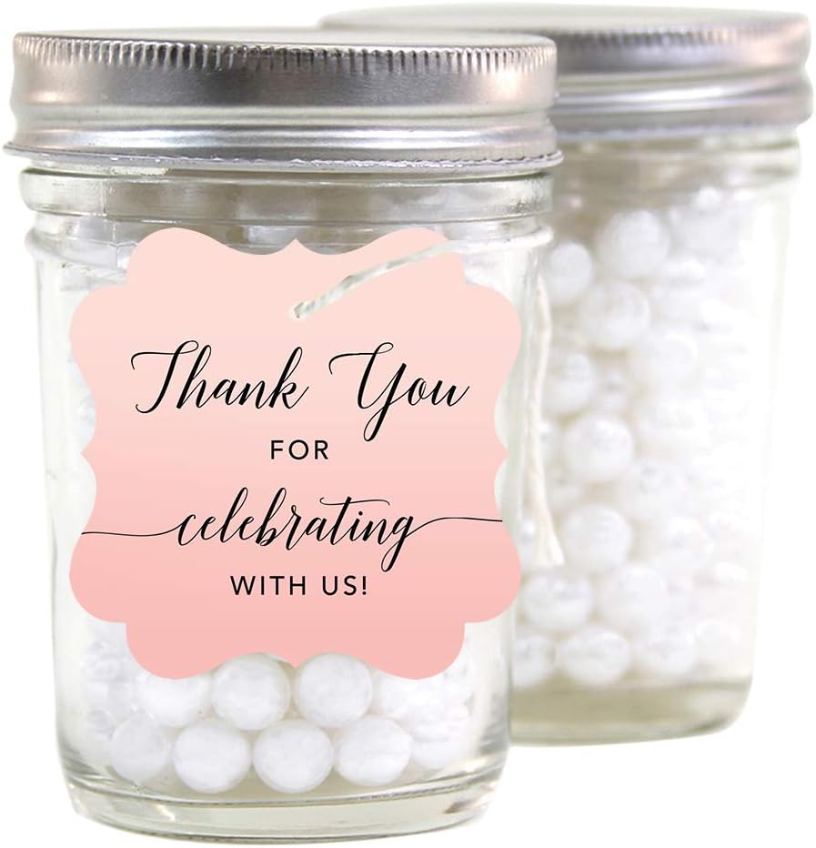 Andaz Press Blush Pink Rose Elegant Party Collection, Fancy Frame Tags, Thank You for Celebrating