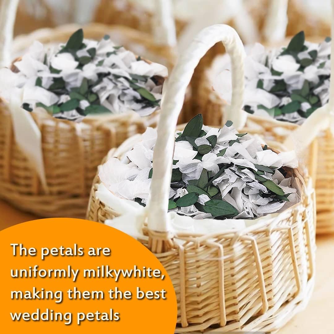 Real Dried Ivory White Hydrangea Flower & Eucalyptus Petals - 3000+ Natural Fragrant Confetti for