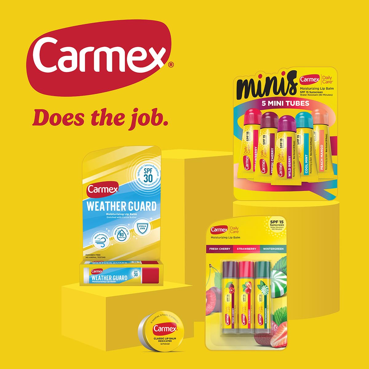 Carmex Daily Care and Daily Care Minis Moisturizing Lip Balm Pack, SPF 15, Multi-Flavor Lip Care