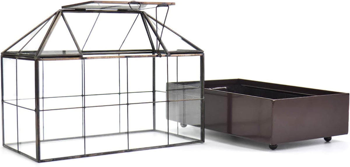 Large Tall Plant Terrarium Glass Greenhouse with Lid and Tray, Indoor Tabletop Orchid Succulent