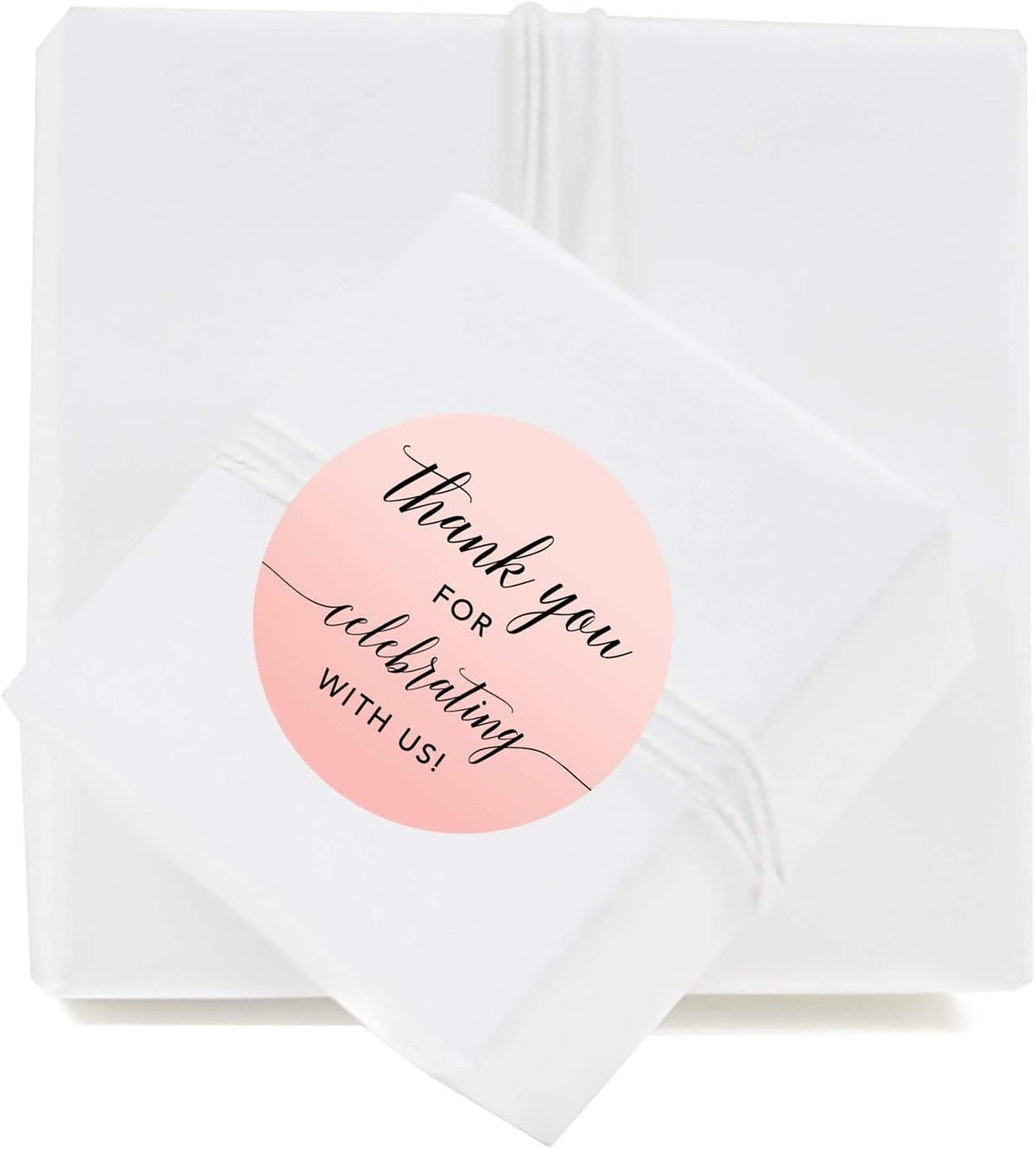 Andaz Press Blush Pink Rose Elegant Party Collection, Round Circle Label Stickers, Thank You for