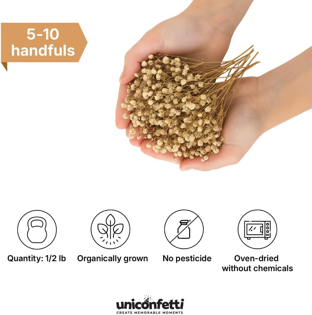 Dried Flower Baby's Breath Biodegradable Confetti - Real Flower Petals for Weddings, Flower Girl