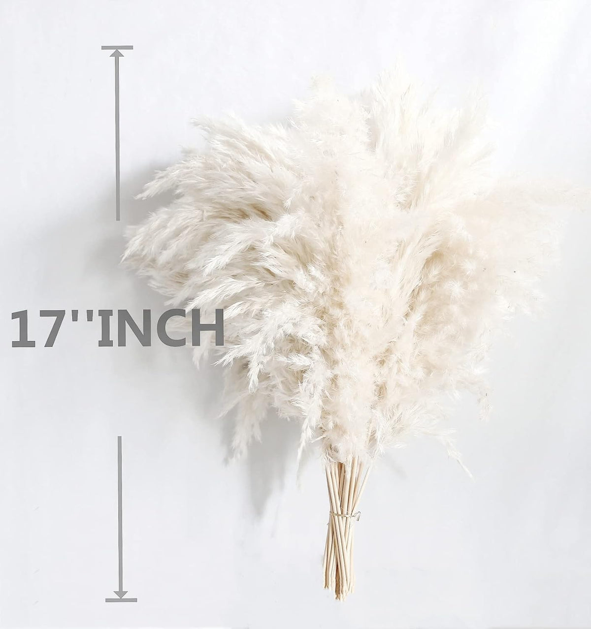 White Pampas Grass for Home Decor - Elegant Boho Decor - Premium Quality Pampas Grass Stems