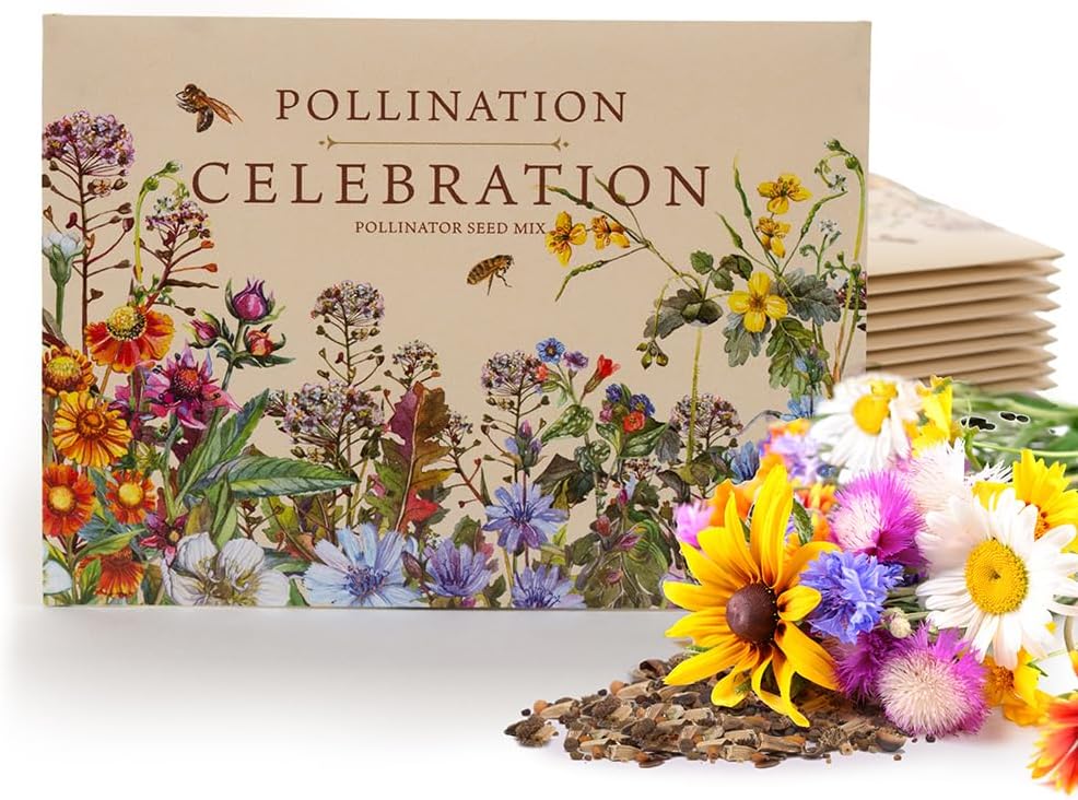 Bentley Pollination Celebration Wildflower Seed Packets, Non-GMO, Uncoated Flower Mix for Planting
