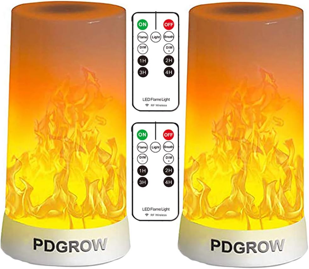 LED Flame Lights with Remote Timer, Flame Lamp 4 Modes USB Rechargeable Fire Lights Indoor Campfire