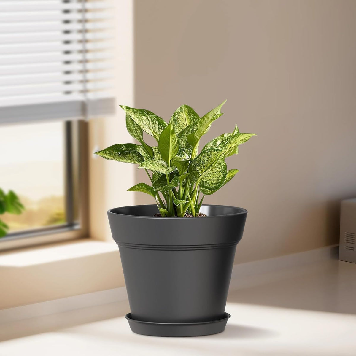 5 Inch Plastic Plant Pots with Drainage Holes and Trays – 6 Pack Small Nursery Pots for Indoor &