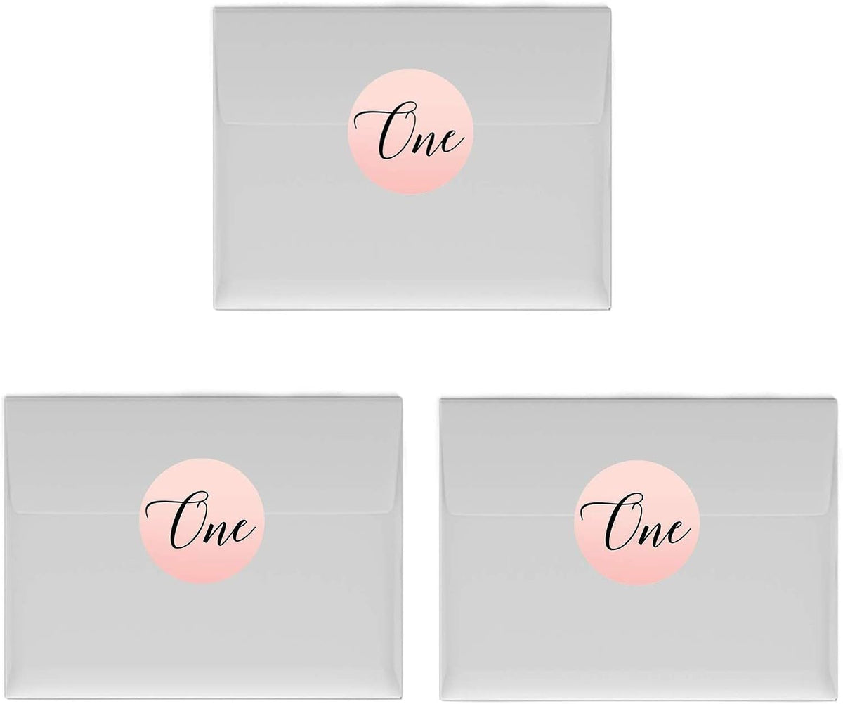 Andaz Press Blush Pink Rose Elegant Party Baby Girl's 1st Birthday Collection, Small Round Circle