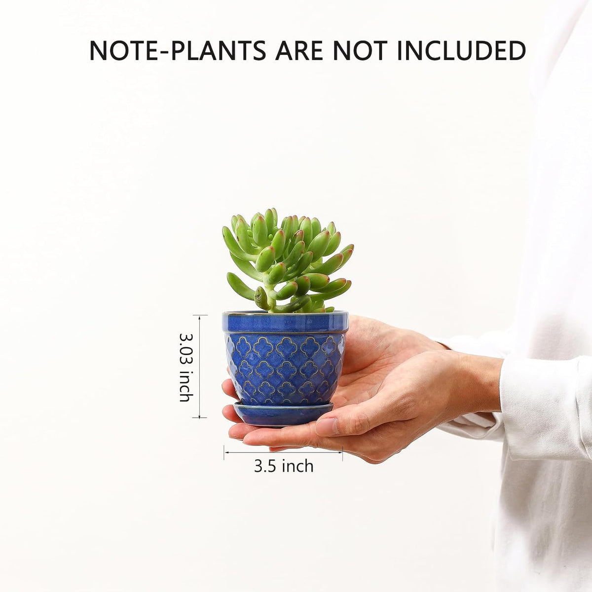 Sureasy Succulent Pots, 3.5 Inch Flower Pots for Indoor Plants, Small Plant Pots with Saucer &