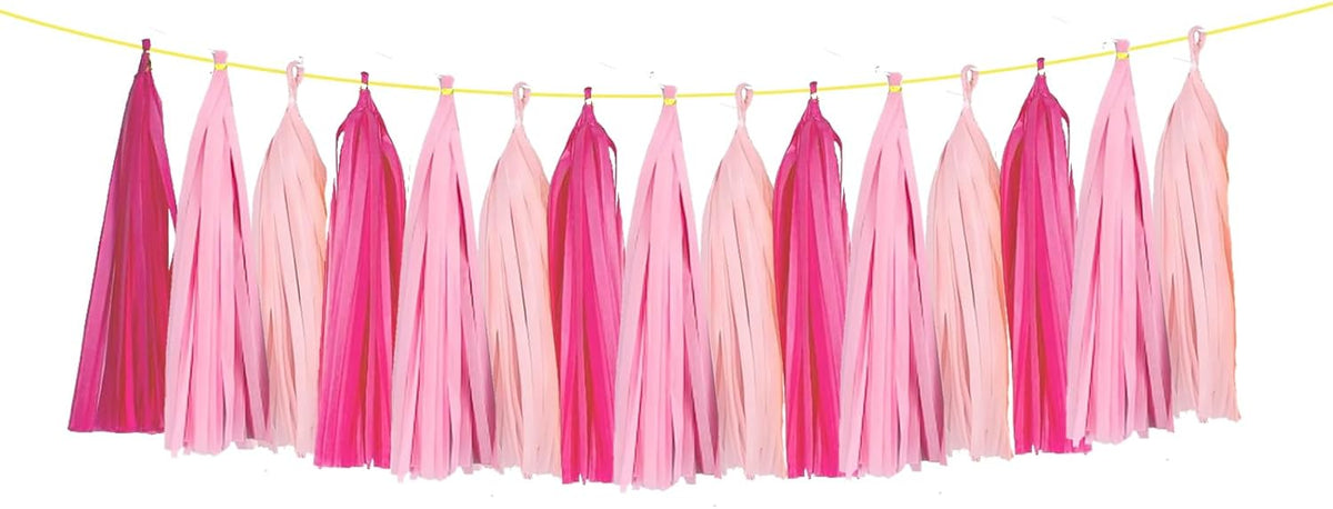 ZOOYOO Tassel Garland Tissue Paper Tassel Banner Table Decor,DIY Kits for Girls Women