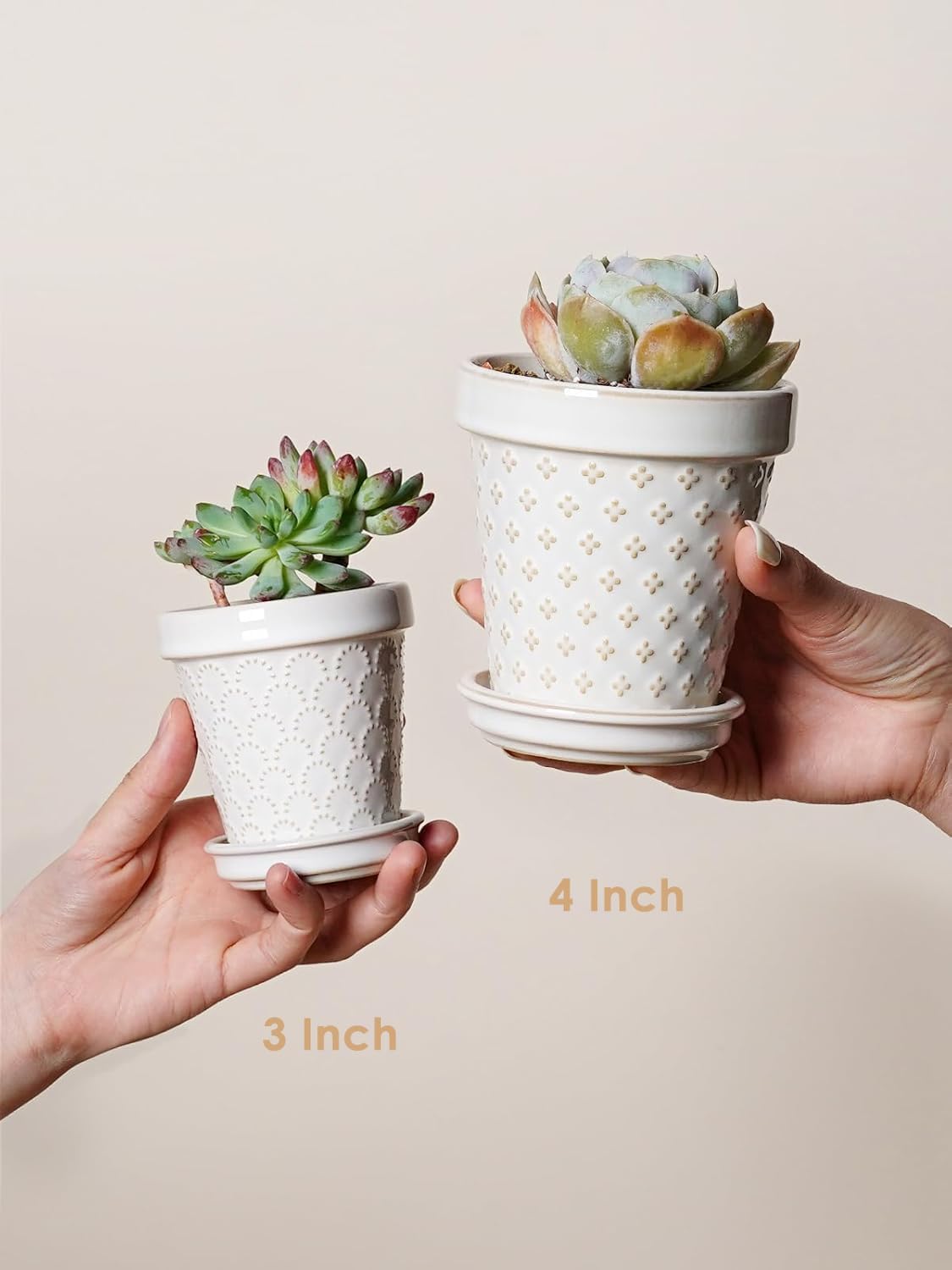 LE TAUCI Ceramic Succulent Pots, 4 Inch Small Plant Pot for Indoor Plant Cactus, Embossed Flower