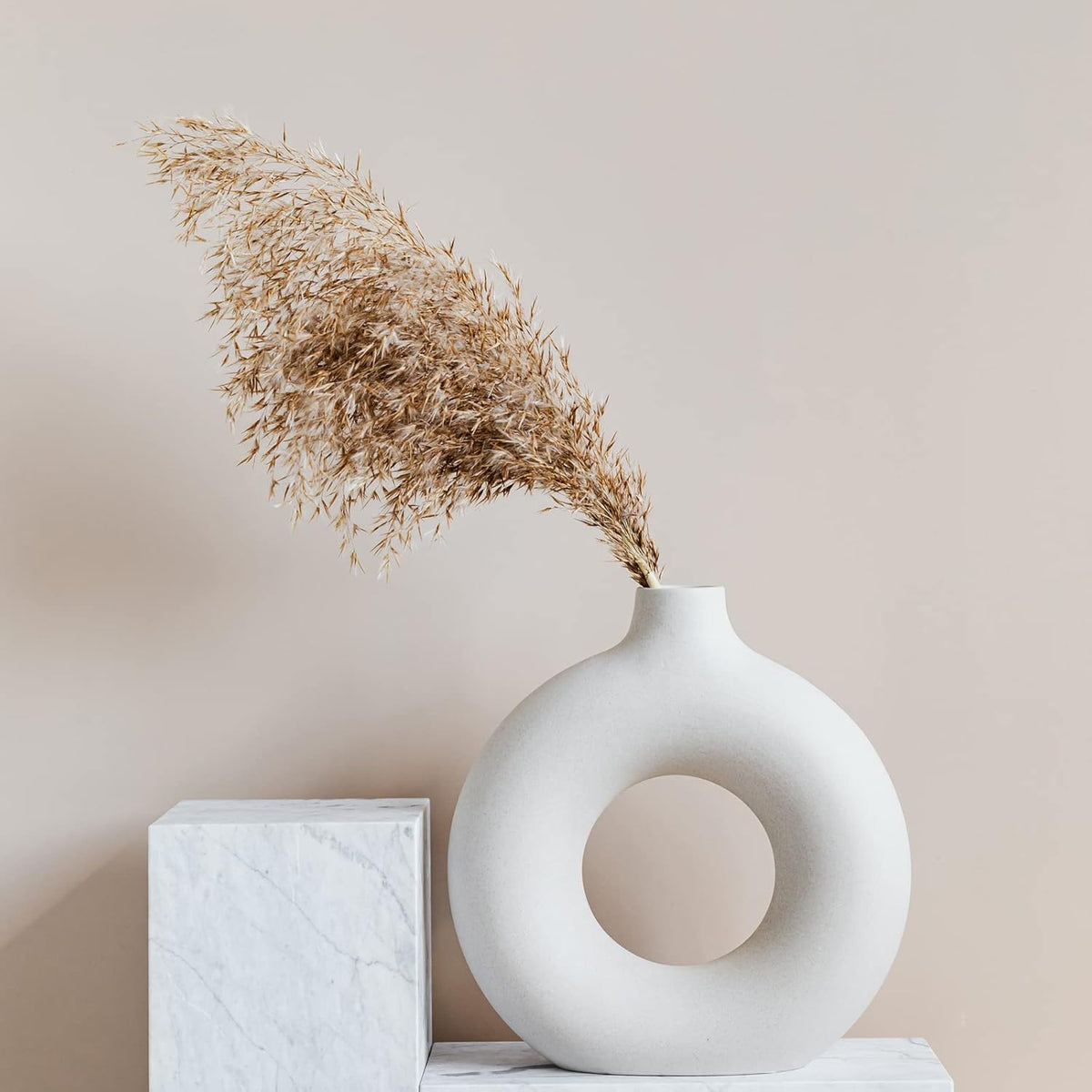 Pampas Grass Decor, Natural Dry Pampas Grass Small, Short Pampass Bulk for Farmhouse, Wall